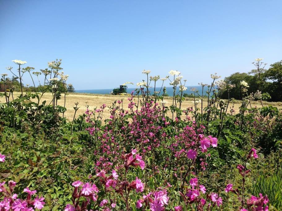 Little Bream - Pretty Cosy Cottage, Sea Views, Walk To The Beach Mawnan Smith Extérieur photo