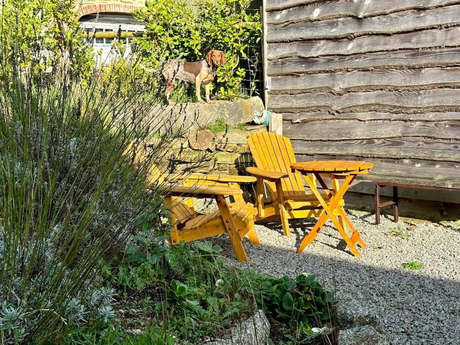 Little Bream - Pretty Cosy Cottage, Sea Views, Walk To The Beach Mawnan Smith Extérieur photo